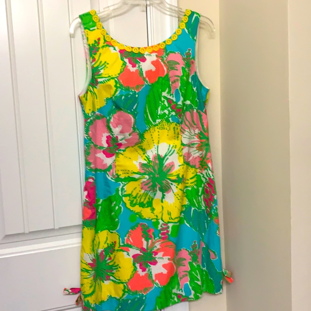 NWT GORGEOUS DELIA SHIFT .....size 10